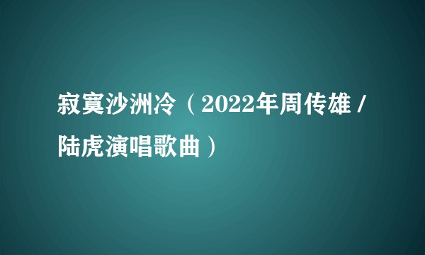 寂寞沙洲冷（2022年周传雄 /陆虎演唱歌曲）