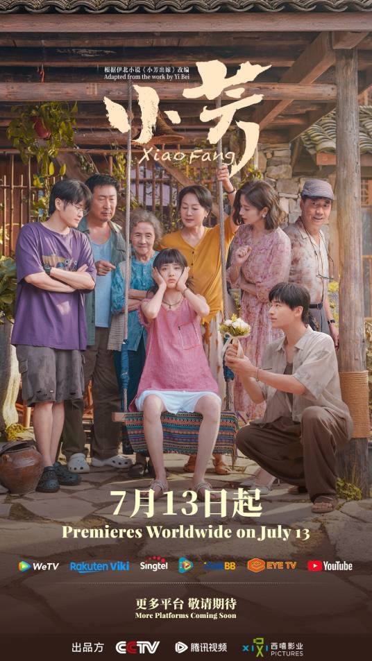 小芳（2026年韩琰执导的电视剧）
