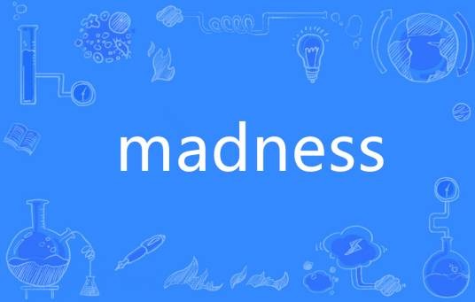Madness（英语单词）