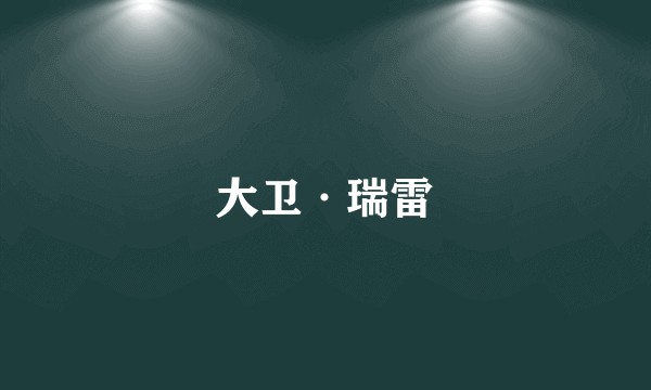 大卫·瑞雷