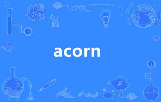 Acorn（英语单词）