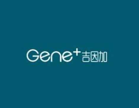 北京吉因加科技有限公司