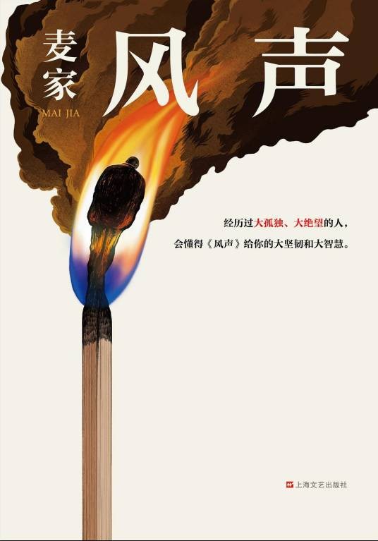 风声（2020年上海文艺出版社出版的图书）