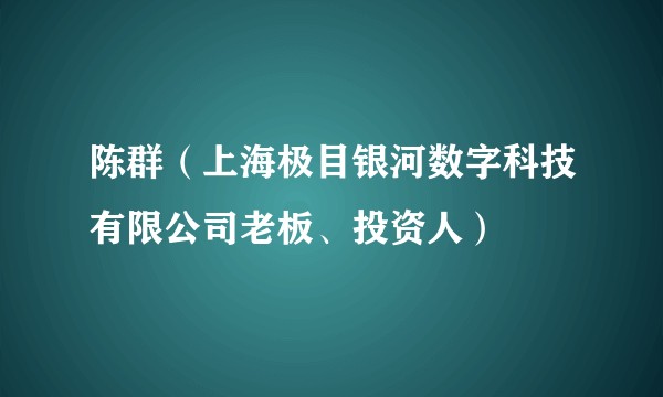 陈群（上海极目银河数字科技有限公司老板、投资人）