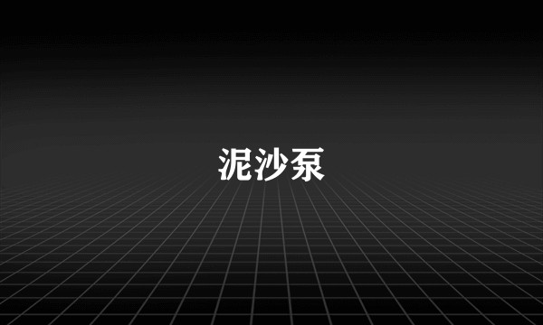 泥沙泵