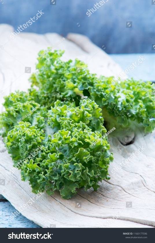 kale（英语单词）