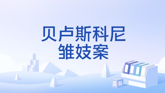 贝卢斯科尼雏妓案
