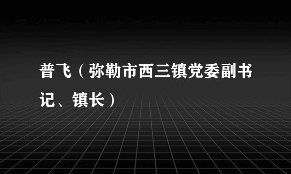 普飞（弥勒市西三镇党委副书记、镇长）