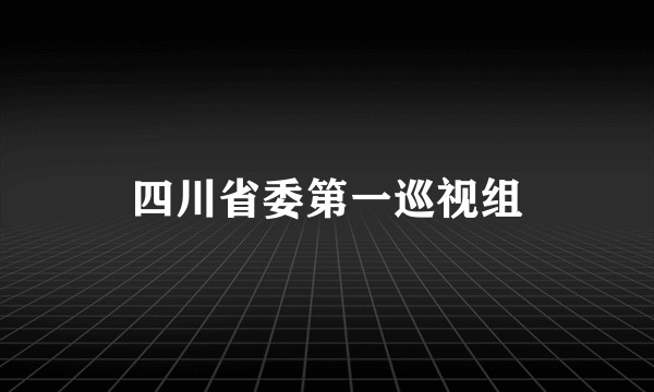四川省委第一巡视组