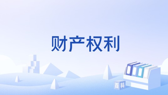财产权利（法律术语）