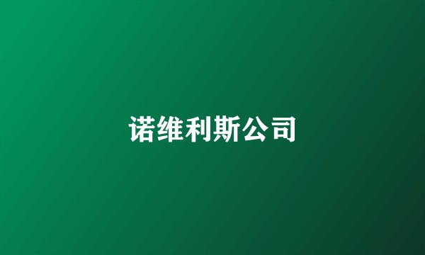 诺维利斯公司
