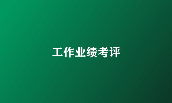 工作业绩考评