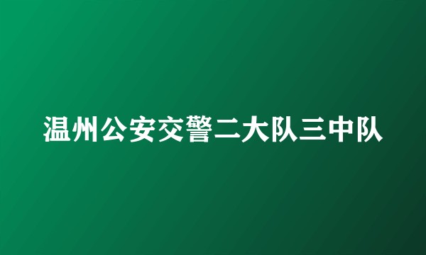 温州公安交警二大队三中队