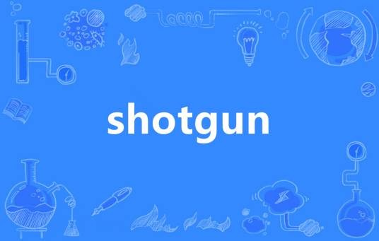 Shotgun（英语单词）
