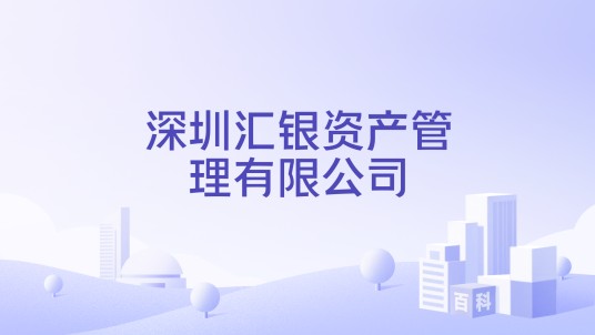 深圳汇银资产管理有限公司