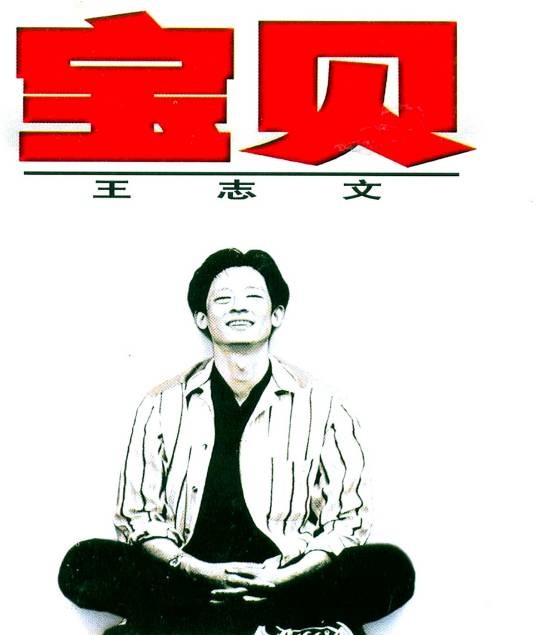 宝贝（1996年王志文发行的音乐专辑）