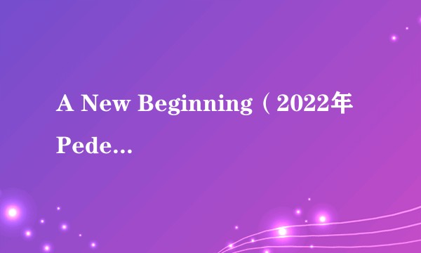 A New Beginning（2022年Peder Elias录唱歌曲）