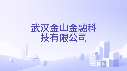 武汉金山金融科技有限公司