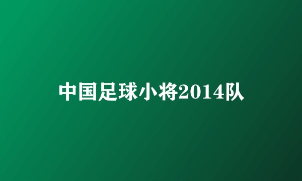 中国足球小将2014队