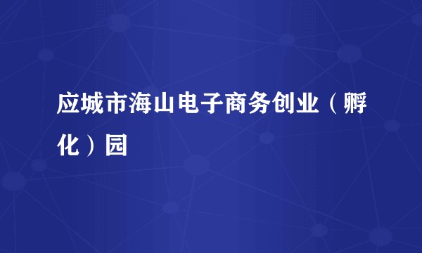应城市海山电子商务创业（孵化）园