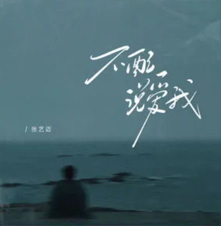 不配说爱我（张艺迈演唱的歌曲）