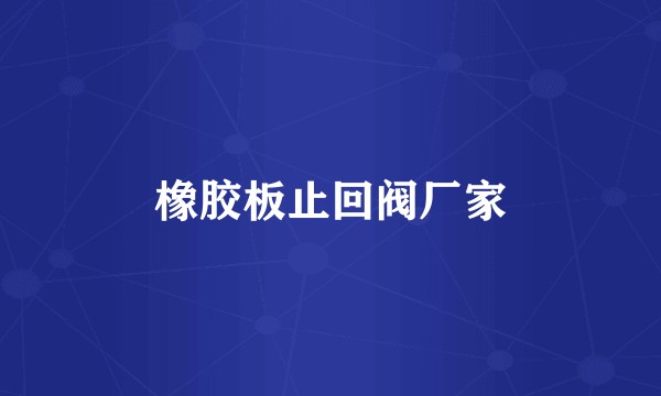 橡胶板止回阀厂家
