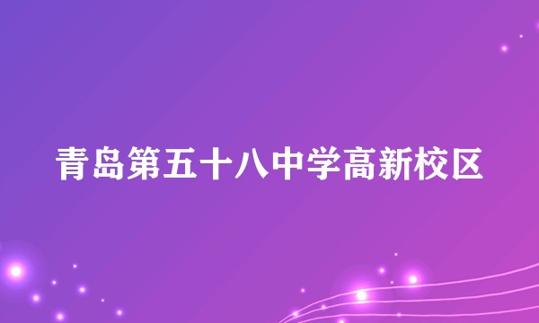 青岛第五十八中学高新校区