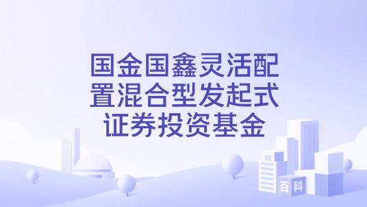 国金国鑫灵活配置混合型发起式证券投资基金
