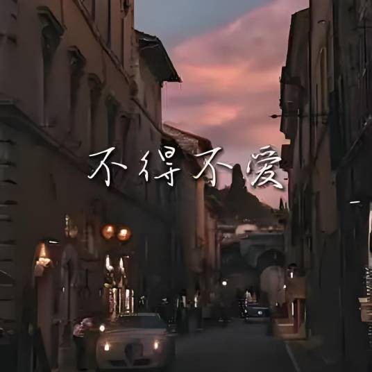 不得不爱 （DJ阿智版）