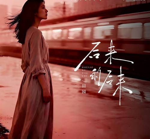 后来的后来（田园演唱的热门歌曲）