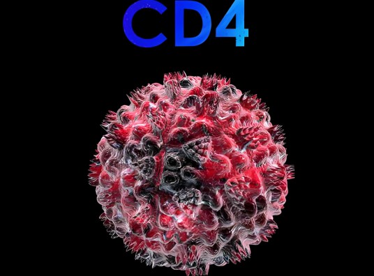 CD4+T细胞