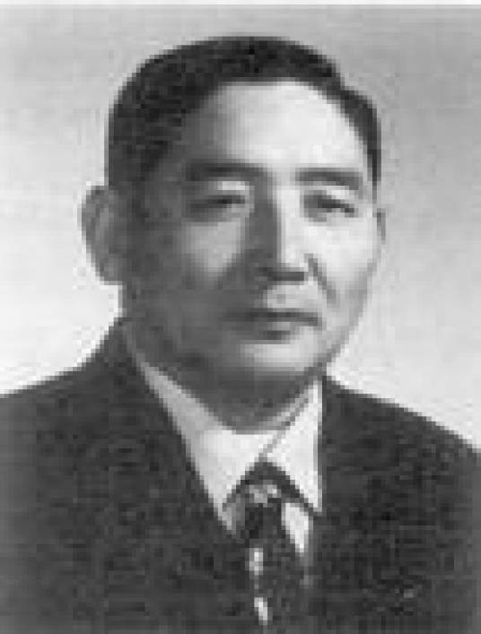 高岱（氧化铝生产技术专家）