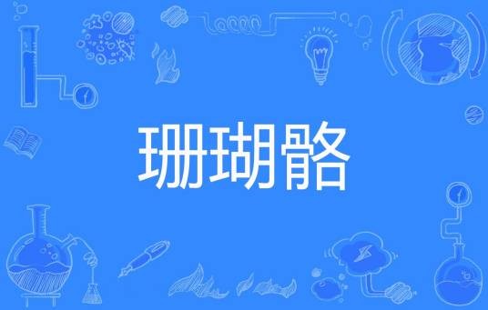 珊瑚骼