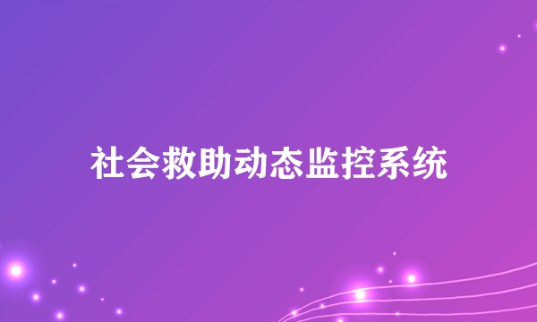 社会救助动态监控系统
