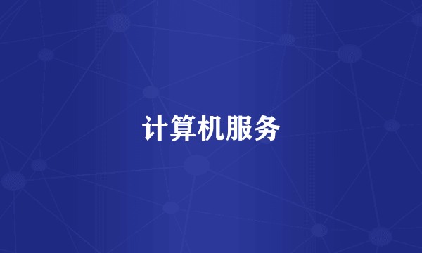 计算机服务