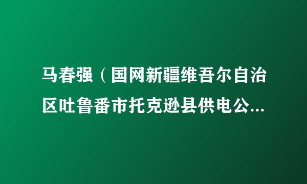 马春强（国网新疆维吾尔自治区吐鲁番市托克逊县供电公司城区供电所所长、党支部书记）