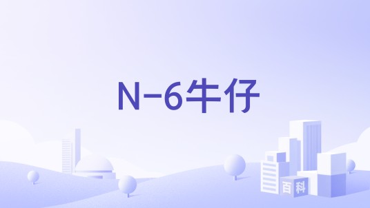 N-6牛仔