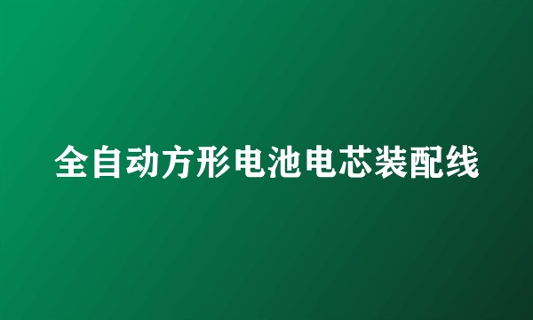 全自动方形电池电芯装配线