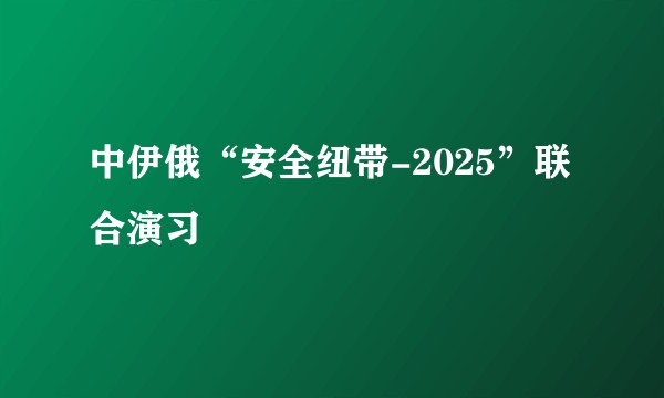 中伊俄“安全纽带-2025”联合演习
