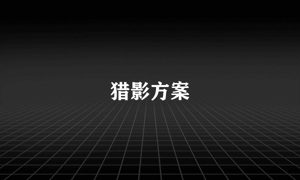 猎影方案