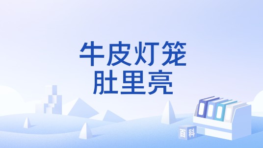 牛皮灯笼肚里亮