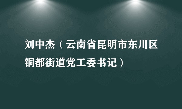 刘中杰（云南省昆明市东川区铜都街道党工委书记）