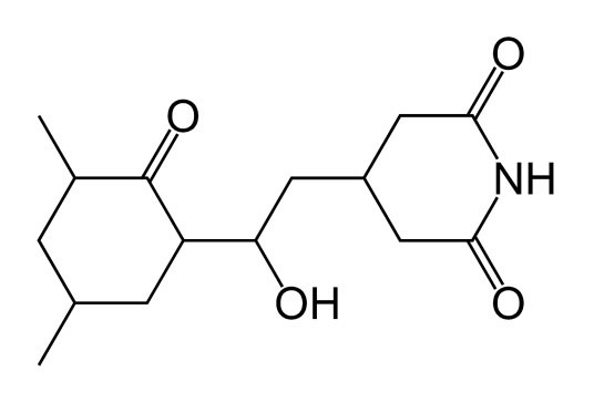 环己酰亚胺