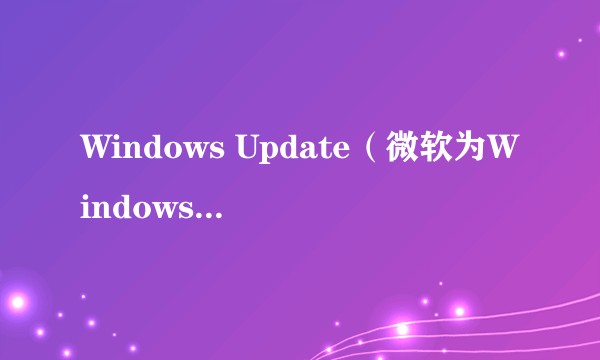 Windows Update（微软为Windows操作系统提供的系统更新服务）