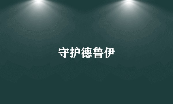 守护德鲁伊
