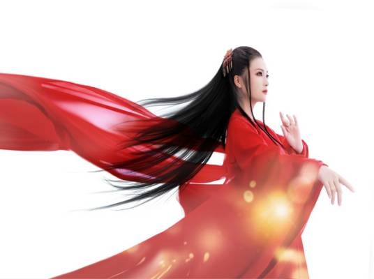 芦花未尽