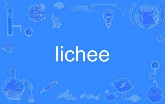 lichee（英语单词）