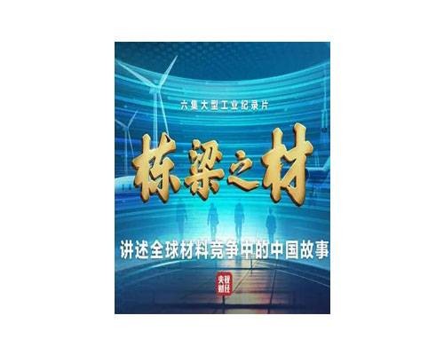 栋梁之材（中央广播电视总台财经节目中心大型工业纪录片）