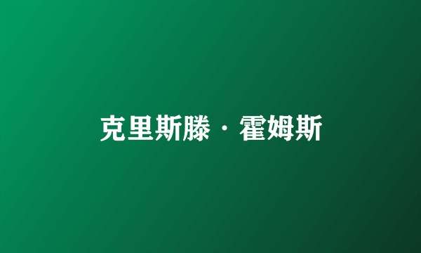 克里斯滕·霍姆斯