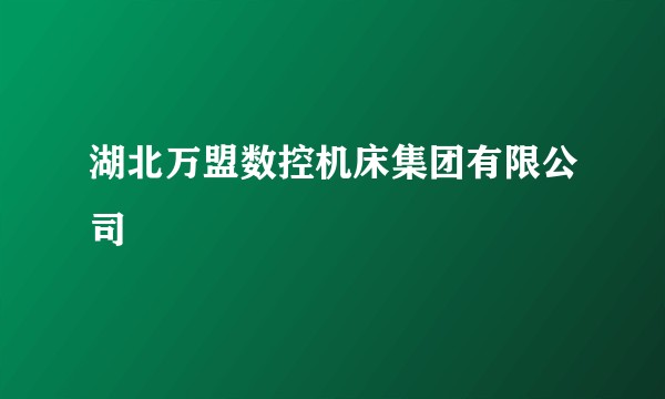 湖北万盟数控机床集团有限公司